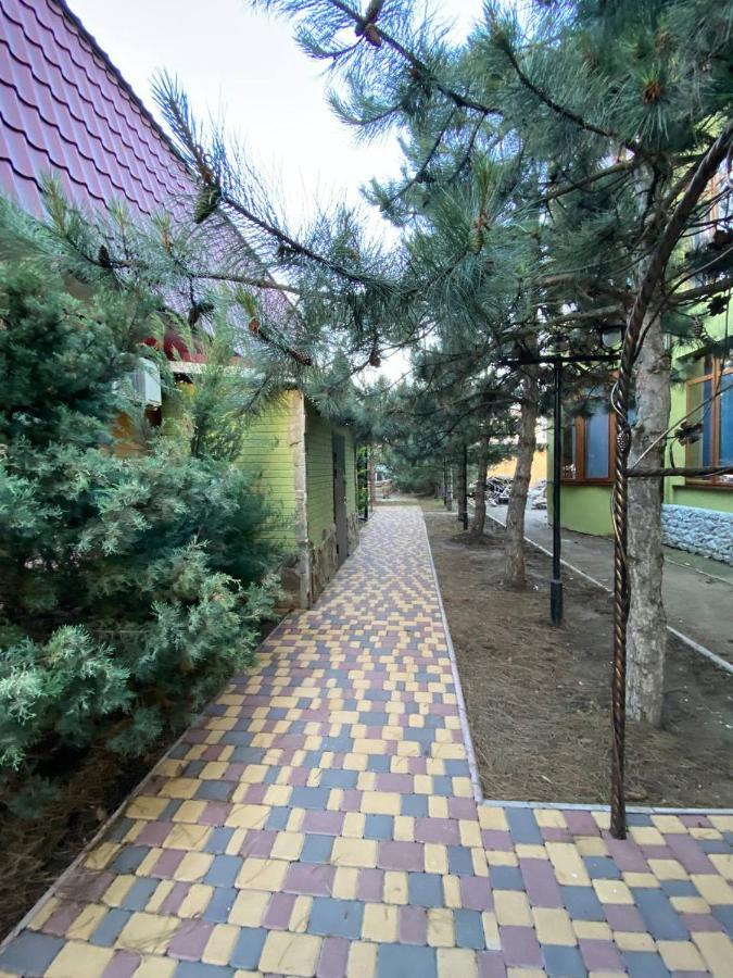 Villa Sosnovy Bor Затока Экстерьер фото