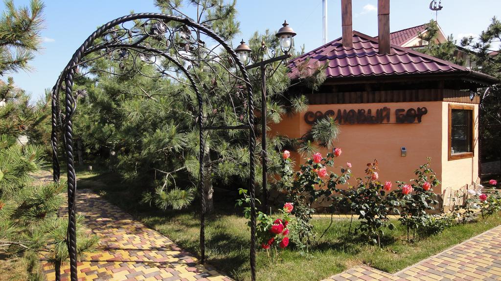 Villa Sosnovy Bor Затока Экстерьер фото