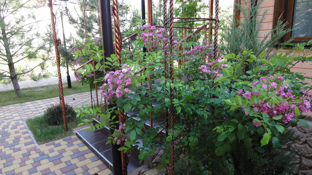 Villa Sosnovy Bor Затока Экстерьер фото