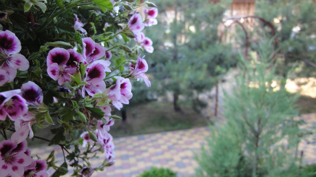 Villa Sosnovy Bor Затока Экстерьер фото